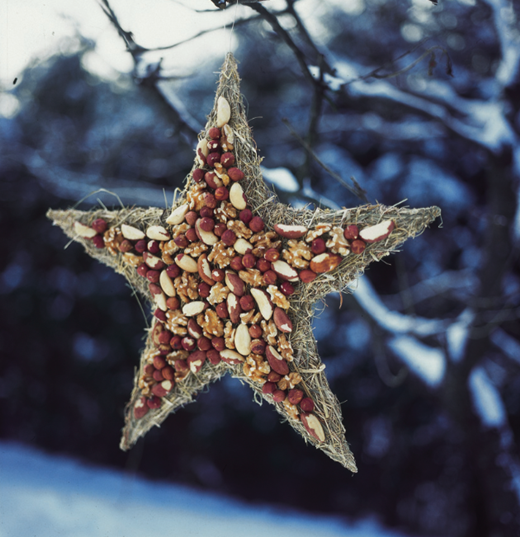 DIY Cute homemade bird feeders Miss decorate